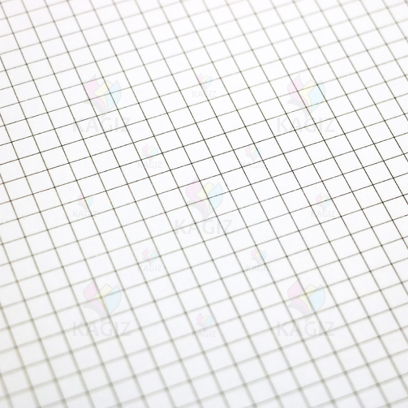 کاغذشطرنجی