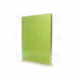 کاغذ رنگی سبز B4 الوان ۵۰گرم ایرانی بسته ۵۰۰برگی